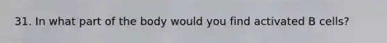 31. In what part of the body would you find activated B cells?