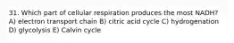 31. Which part of cellular respiration produces the most NADH? A) electron transport chain B) citric acid cycle C) hydrogenation D) glycolysis E) Calvin cycle