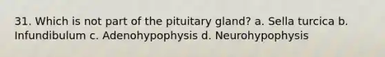 31. Which is not part of the pituitary gland? a. Sella turcica b. Infundibulum c. Adenohypophysis d. Neurohypophysis