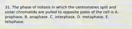 31. The phase of mitosis in which the centromeres split and sister chromatids are pulled to opposite poles of the cell is A. prophase. B. anaphase. C. interphase. D. metaphase. E. telophase.