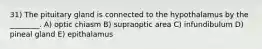 31) The pituitary gland is connected to the hypothalamus by the ________. A) optic chiasm B) supraoptic area C) infundibulum D) pineal gland E) epithalamus