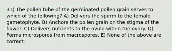 31) The pollen tube of the germinated pollen grain serves to which of the following? A) Delivers the sperm to the female gametophyte. B) Anchors the pollen grain on the stigma of the flower. C) Delivers nutrients to the ovule within the ovary. D) Forms microspores from macrospores. E) None of the above are correct.