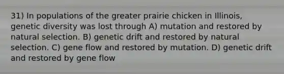 31) In populations of the greater prairie chicken in Illinois, genetic diversity was lost through A) mutation and restored by natural selection. B) genetic drift and restored by natural selection. C) gene flow and restored by mutation. D) genetic drift and restored by gene flow