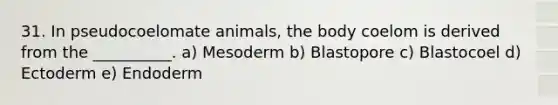 31. In pseudocoelomate animals, the body coelom is derived from the __________. a) Mesoderm b) Blastopore c) Blastocoel d) Ectoderm e) Endoderm