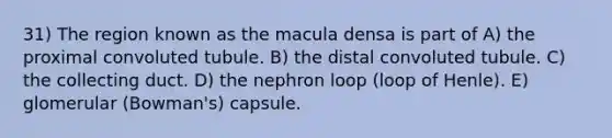 31) The region known as the macula densa is part of A) the proximal convoluted tubule. B) the distal convoluted tubule. C) the collecting duct. D) the nephron loop (loop of Henle). E) glomerular (Bowman's) capsule.