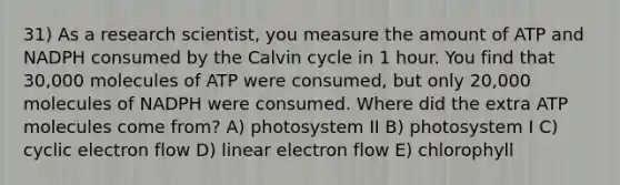 31) As a research scientist, you measure the amount of ATP and NADPH consumed by the Calvin cycle in 1 hour. You find that 30,000 molecules of ATP were consumed, but only 20,000 molecules of NADPH were consumed. Where did the extra ATP molecules come from? A) photosystem II B) photosystem I C) <a href='https://www.questionai.com/knowledge/ktXlRGlV4V-cyclic-electron-flow' class='anchor-knowledge'>cyclic electron flow</a> D) linear electron flow E) chlorophyll