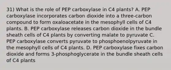 31) What is the role of PEP carboxylase in C4 plants? A. PEP carboxylase incorporates carbon dioxide into a three-carbon compound to form oxaloacetate in the mesophyll cells of C4 plants. B. PEP carboxylase releases carbon dioxide in the bundle sheath cells of C4 plants by converting malate to pyruvate C. PEP carboxylase converts pyruvate to phosphoenolpyruvate in the mesophyll cells of C4 plants. D. PEP carboxylase fixes carbon dioxide and forms 3-phosphoglycerate in the bundle sheath cells of C4 plants