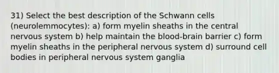 31) Select the best description of the Schwann cells (neurolemmocytes): a) form myelin sheaths in the central nervous system b) help maintain the blood-brain barrier c) form myelin sheaths in the peripheral nervous system d) surround cell bodies in peripheral nervous system ganglia