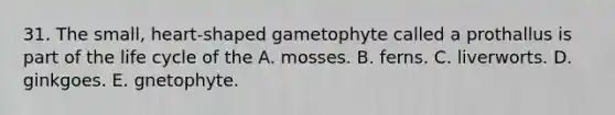 31. The small, heart-shaped gametophyte called a prothallus is part of the life cycle of the A. mosses. B. ferns. C. liverworts. D. ginkgoes. E. gnetophyte.