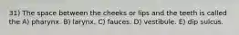 31) The space between the cheeks or lips and the teeth is called the A) pharynx. B) larynx. C) fauces. D) vestibule. E) dip sulcus.
