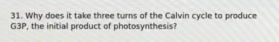 31. Why does it take three turns of the Calvin cycle to produce G3P, the initial product of photosynthesis?