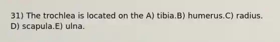 31) The trochlea is located on the A) tibia.B) humerus.C) radius. D) scapula.E) ulna.