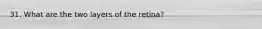 31. What are the two layers of the retina?