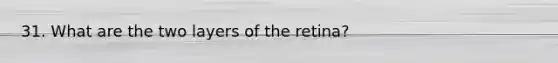 31. What are the two layers of the retina?