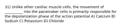 31) Unlike other cardiac muscle cells, the movement of __________ into the pacemaker cells is primarily responsible for the depolarization phase of the action potential A) Calcium B) Sodium C) Potassium D) Chloride