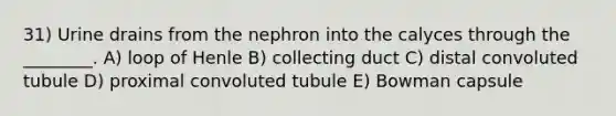 31) Urine drains from the nephron into the calyces through the ________. A) loop of Henle B) collecting duct C) distal convoluted tubule D) proximal convoluted tubule E) Bowman capsule