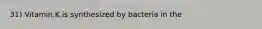 31) Vitamin K is synthesized by bacteria in the