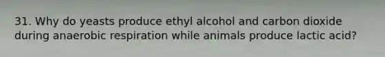 31. Why do yeasts produce ethyl alcohol and carbon dioxide during anaerobic respiration while animals produce lactic acid?