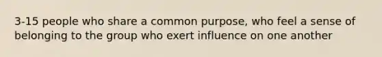 3-15 people who share a common purpose, who feel a sense of belonging to the group who exert influence on one another