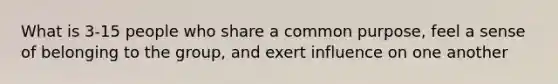 What is 3-15 people who share a common purpose, feel a sense of belonging to the group, and exert influence on one another