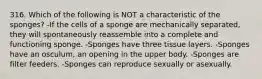 316. Which of the following is NOT a characteristic of the sponges? -If the cells of a sponge are mechanically separated, they will spontaneously reassemble into a complete and functioning sponge. -Sponges have three tissue layers. -Sponges have an osculum, an opening in the upper body. -Sponges are filter feeders. -Sponges can reproduce sexually or asexually.