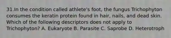 31.In the condition called athlete's foot, the fungus Trichophyton consumes the keratin protein found in hair, nails, and dead skin. Which of the following descriptors does not apply to Trichophyton? A. Eukaryote B. Parasite C. Saprobe D. Heterotroph