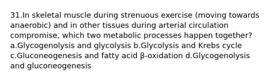 31.In skeletal muscle during strenuous exercise (moving towards anaerobic) and in other tissues during arterial circulation compromise, which two metabolic processes happen together? a.Glycogenolysis and glycolysis b.Glycolysis and Krebs cycle c.Gluconeogenesis and fatty acid β-oxidation d.Glycogenolysis and gluconeogenesis