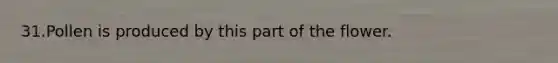 31.Pollen is produced by this part of the flower.