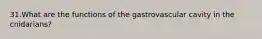 31.​What are the functions of the gastrovascular cavity in the cnidarians?