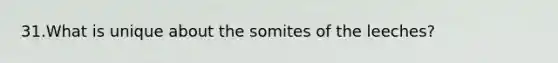 31.What is unique about the somites of the leeches?