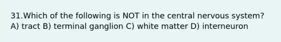 31.Which of the following is NOT in the central <a href='https://www.questionai.com/knowledge/kThdVqrsqy-nervous-system' class='anchor-knowledge'>nervous system</a>? A) tract B) terminal ganglion C) white matter D) interneuron