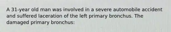 A 31-year old man was involved in a severe automobile accident and suffered laceration of the left primary bronchus. The damaged primary bronchus: