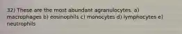 32) These are the most abundant agranulocytes. a) macrophages b) eosinophils c) monocytes d) lymphocytes e) neutrophils