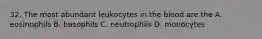 32. The most abundant leukocytes in the blood are the A. eosinophils B. basophils C. neutrophils D. monocytes