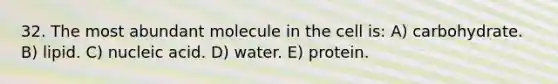 32. The most abundant molecule in the cell is: A) carbohydrate. B) lipid. C) nucleic acid. D) water. E) protein.