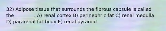 32) Adipose tissue that surrounds the fibrous capsule is called the ________. A) renal cortex B) perinephric fat C) renal medulla D) pararenal fat body E) renal pyramid