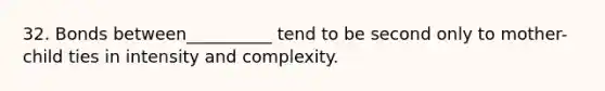 32. Bonds between__________ tend to be second only to mother-child ties in intensity and complexity.