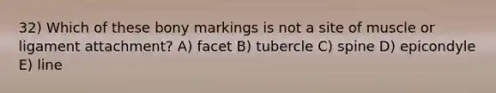 32) Which of these bony markings is not a site of muscle or ligament attachment? A) facet B) tubercle C) spine D) epicondyle E) line