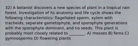 32) A botanist discovers a new species of plant in a tropical rain forest. Investigation of its anatomy and life cycle shows the following characteristics: flagellated sperm, xylem with tracheids, separate gametophyte, and sporophyte generations with the sporophyte dominant, and no seeds. This plant is probably most closely related to ________. A) mosses B) ferns C) gymnosperms D) flowering plants