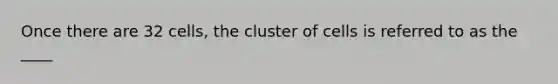 Once there are 32 cells, the cluster of cells is referred to as the ____