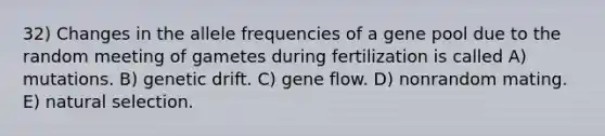 32) Changes in the allele frequencies of a gene pool due to the random meeting of gametes during fertilization is called A) mutations. B) genetic drift. C) gene flow. D) nonrandom mating. E) natural selection.