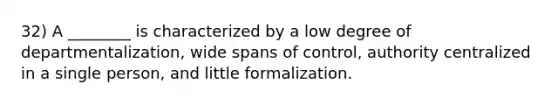 32) A ________ is characterized by a low degree of departmentalization, wide spans of control, authority centralized in a single person, and little formalization.