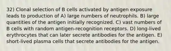 32) Clonal selection of B cells activated by antigen exposure leads to production of A) large numbers of neutrophils. B) large quantities of the antigen initially recognized. C) vast numbers of B cells with random antigen-recognition receptors. D) long-lived erythrocytes that can later secrete antibodies for the antigen. E) short-lived plasma cells that secrete antibodies for the antigen.