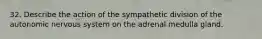 32. Describe the action of the sympathetic division of the autonomic nervous system on the adrenal medulla gland.