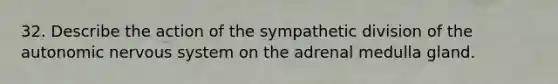 32. Describe the action of the sympathetic division of the autonomic nervous system on the adrenal medulla gland.