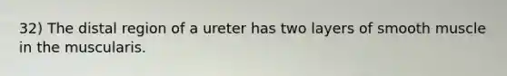 32) The distal region of a ureter has two layers of smooth muscle in the muscularis.