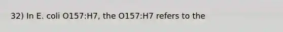 32) In E. coli O157:H7, the O157:H7 refers to the