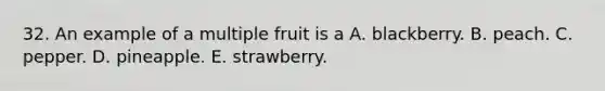 32. An example of a multiple fruit is a A. blackberry. B. peach. C. pepper. D. pineapple. E. strawberry.