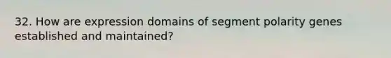 32. How are expression domains of segment polarity genes established and maintained?