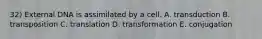 32) External DNA is assimilated by a cell. A. transduction B. transposition C. translation D. transformation E. conjugation